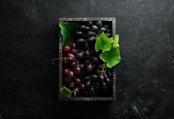 Resveratrol banner